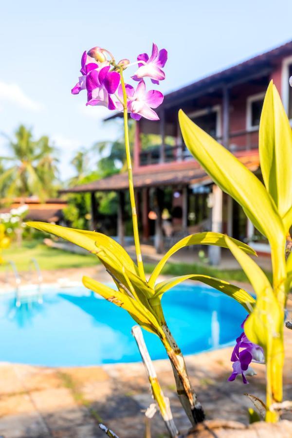 Flow Guest House Salinopolis Exterior photo